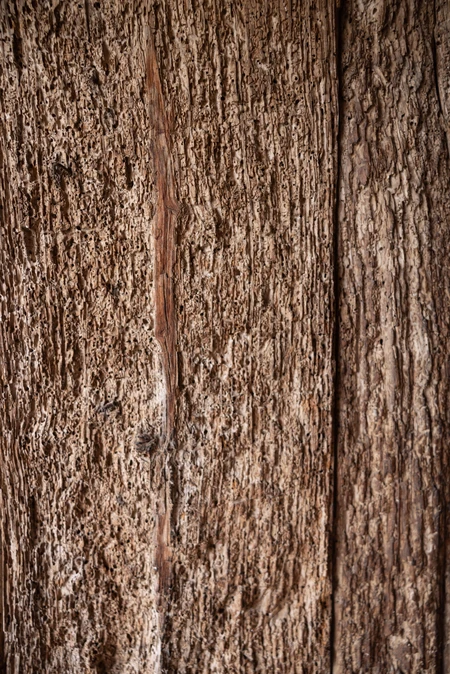 Textured Wooden Surface