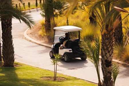 Golf Cart on a Palm-Lined Path