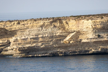 Coastal Cliffside View