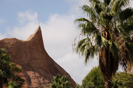 Scenic Mountain and Palms