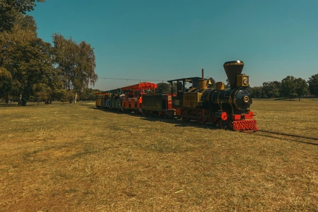 Vintage Train on Open Field