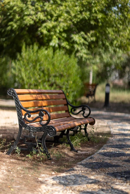 Serene Park Bench