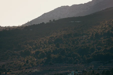 Serene Mountain Landscape
