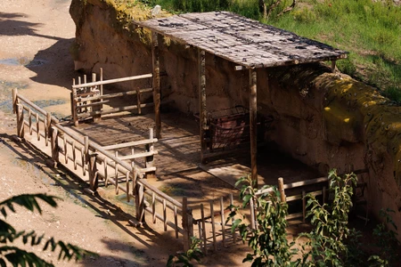 Rustic Shelter in Natural Setting