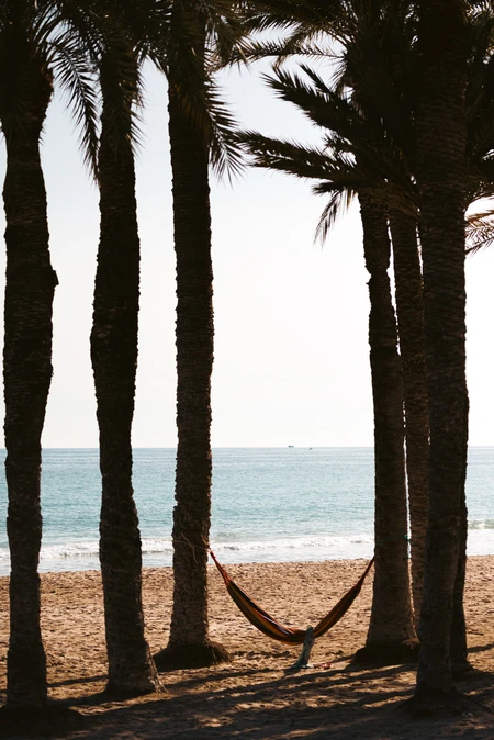 Relaxing Beach Hammock