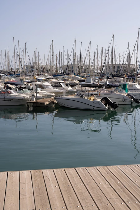 Serene Marina View