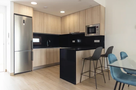 Modern Kitchen Interior