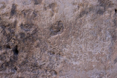 Textured Rock Surface