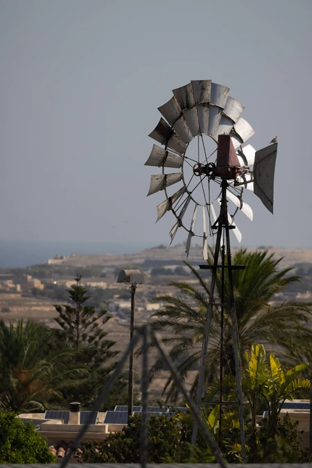 Rural Windmill by the Sea