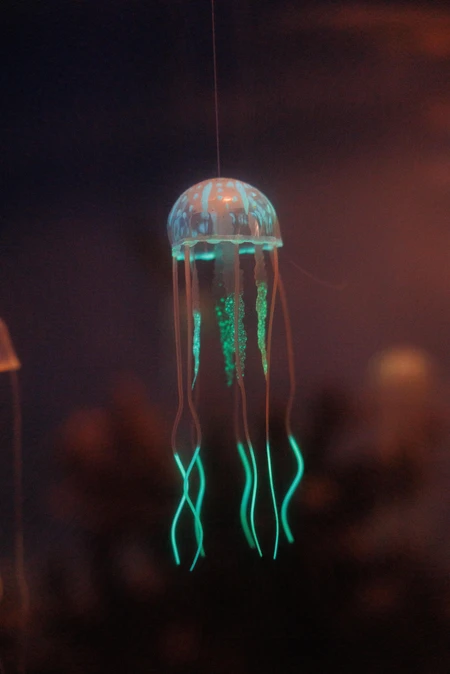 Glowing Jellyfish