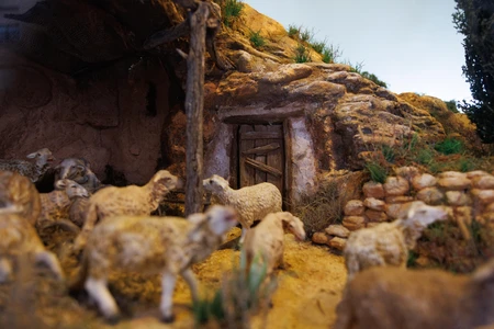 Rustic Sheep Pasture