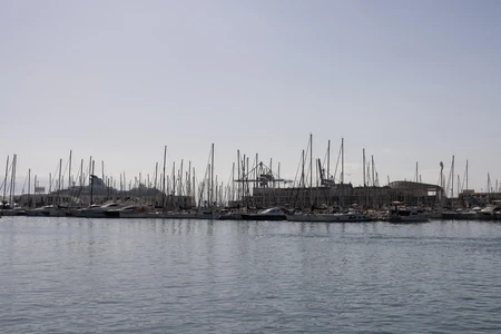 Marina with Boats