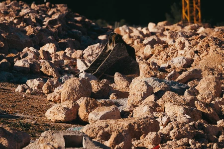 Rocky Construction Site