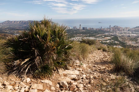 Hiking Trail Overlooking Cityscape
