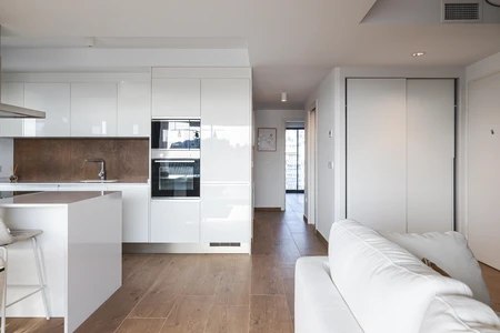 Modern Minimalist Kitchen