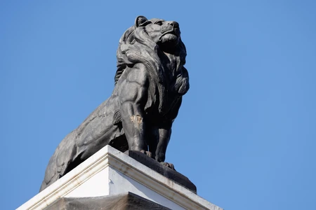 Majestic Lion Statue