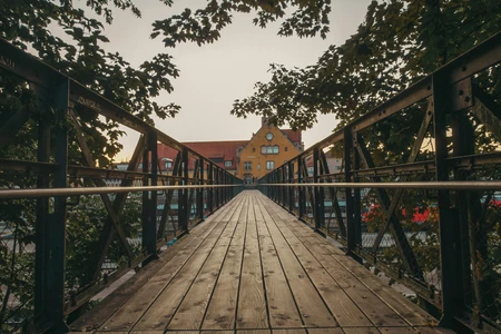 Wooden Bridge Under Tree Canopy