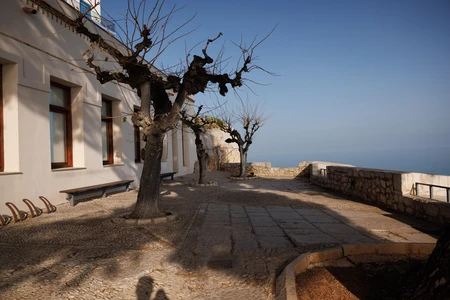 Serene Coastal Courtyard