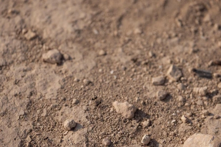 Rugged Terrain Texture