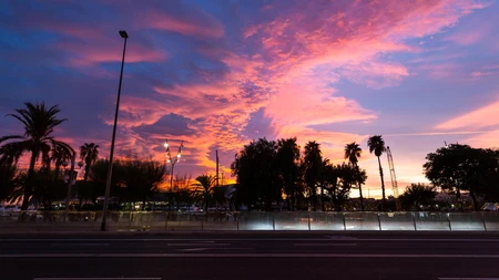 Vibrant Sunset Over Palm Trees