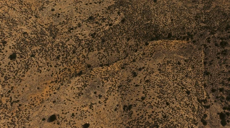 Desert Landscape