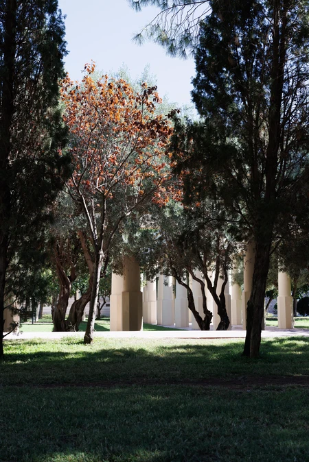 Serene Park with Columns