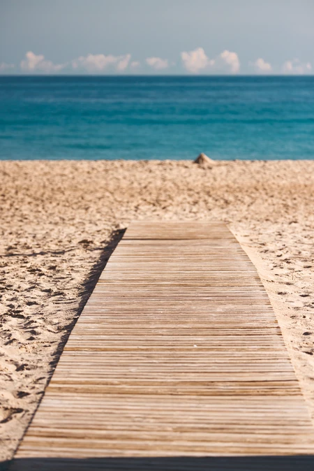 Serene Beach Pathway