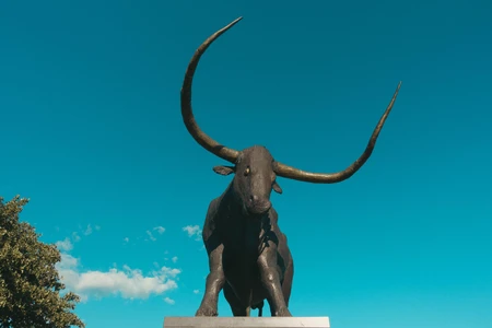 Majestic Bull Statue