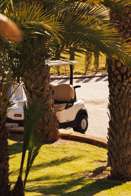Golf Cart in Palm Oasis