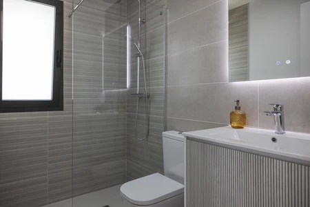 Modern Bathroom Interior