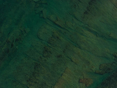 Abstract Green Texture