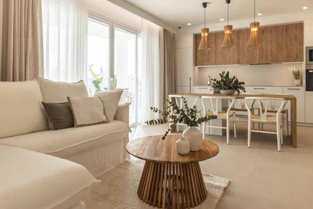 Modern Minimalist Living Room