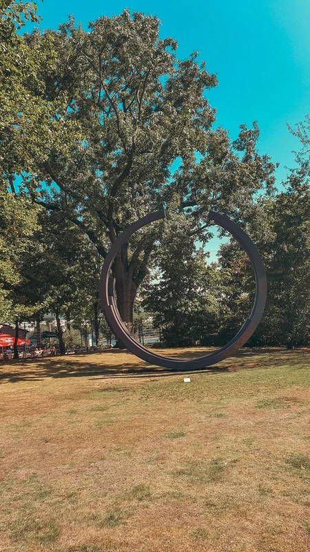 Metal Ring in Park