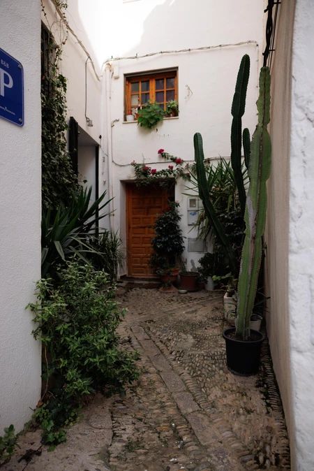 Charming Courtyard Entry