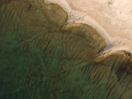 Aerial View of Coastal Landscape