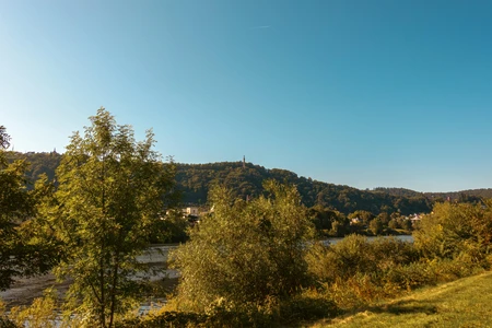 Scenic Riverside Landscape