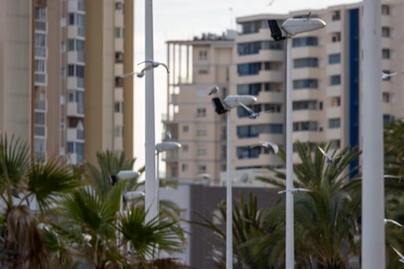 Seaside Urban View