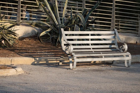 Park Bench by the Path