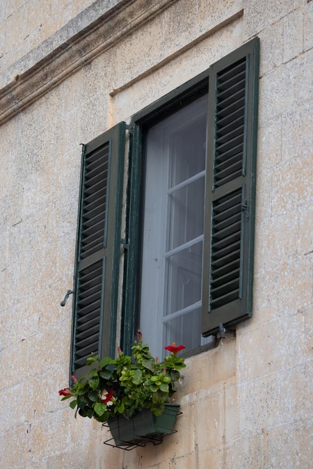 Charming Window with Shutters