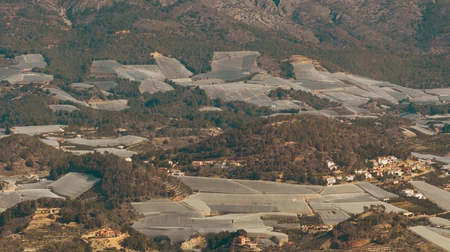 Aerial View of Agricultural Landscape