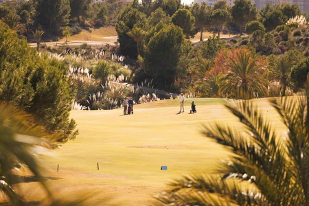 Scenic Golf Course