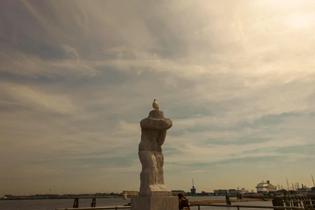 Seagull on Statue by the Waterfront