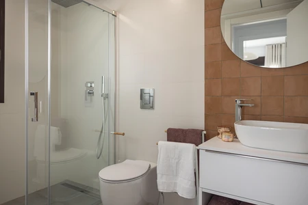Modern Bathroom Interior