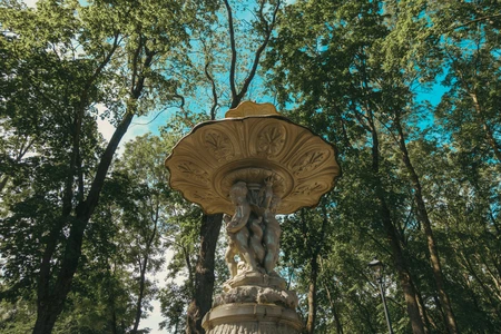 Elegant Fountain in a Forest Park