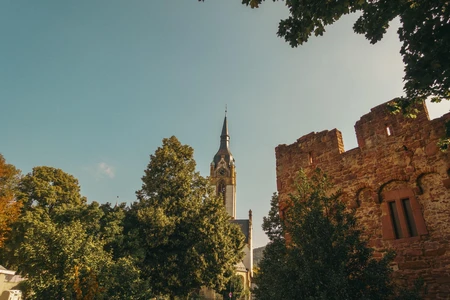 Historic Tower and Castle