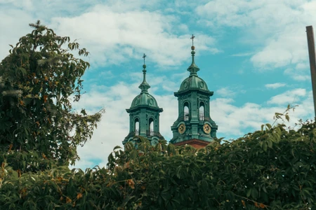 Twin Spires Amidst Foliage