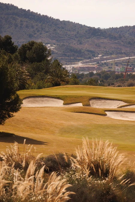 Scenic Golf Course View