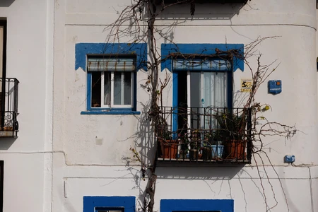 Charming House Facade