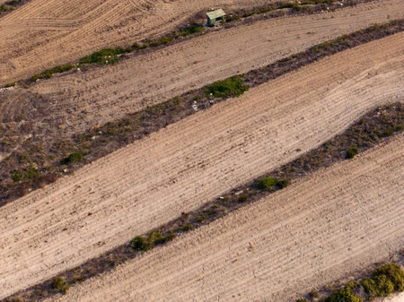 Aerial View of Agricultural Fields