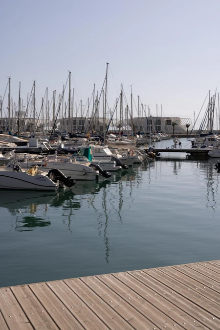 Serene Marina View